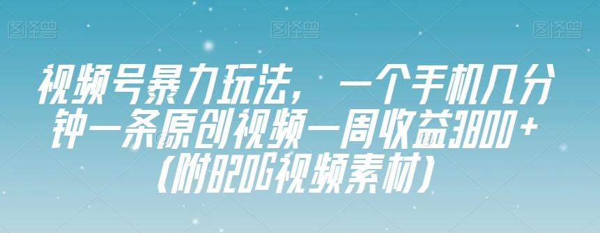 视频号暴力玩法，一个手机几分钟一条原创视频一周收益3800+（附820G视频素材）-179创客网