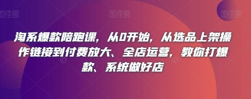 淘系爆款陪跑课，从0开始，从选品上架操作链接到付费放大、全店运营，教你打爆款、系统做好店-179创客网