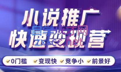 洲洲老师·小说推广快速变现营-179创客网