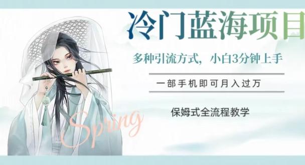 冷门蓝海项目，操作简单，小白3分钟上手，多种引流方式，保姆式全流程教学【揭秘】-网创资源