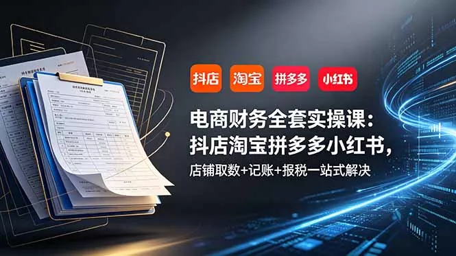 电商财务全套实操课：抖店淘宝拼多多小红书，店铺取数+记账+报税一站式解决-179创客网