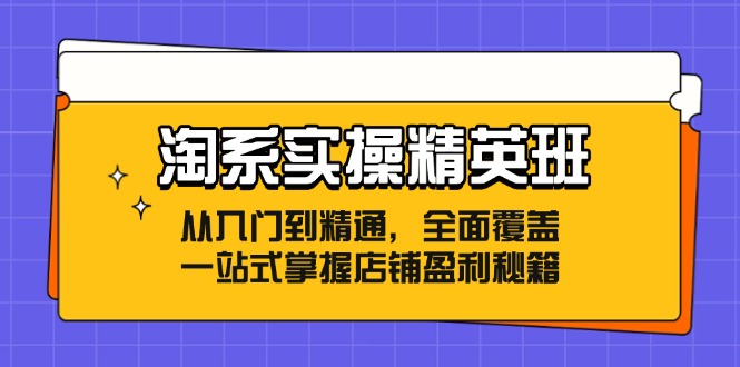 淘系实操精英班：从入门到精通，全面覆盖，一站式掌握店铺盈利秘籍-179创客网
