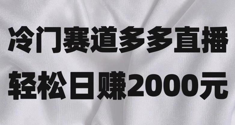 冷门赛道拼多多直播，简单念稿子，日收益2000＋【揭秘】-179创客网
