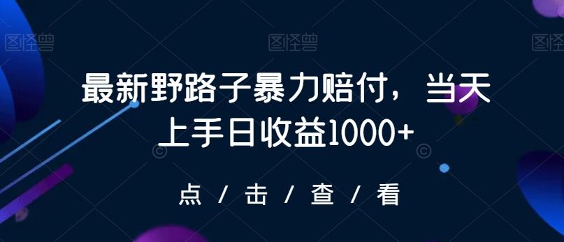 最新野路子暴力赔付，当天上手日收益1000+【仅揭秘】-179创客网