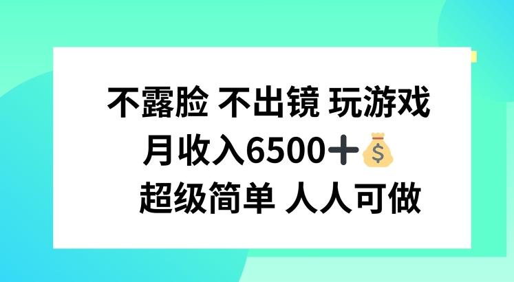 不露脸 不出境 玩游戏，月入6500 超级简单 人人可做【揭秘】-179创客网