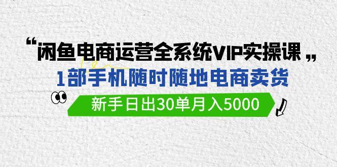 (9547期)闲鱼电商运营全系统VIP实战课，1部手机随时随地卖货，新手日出30单月入5000-179创客网