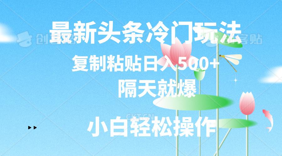 最新头条冷门玩法，隔天就爆，复制粘贴日入500+-179创客网