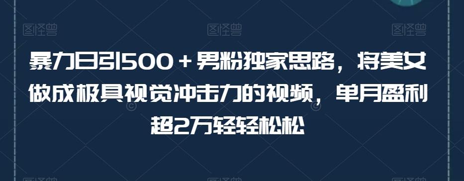 暴力日引500＋男粉独家思路，将美女做成极具视觉冲击力的视频，单月盈利超2万轻轻松松-179创客网