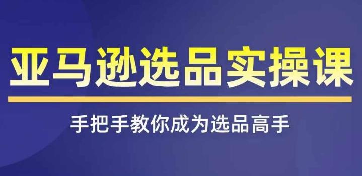 亚马逊选品实操课程，快速掌握亚马逊选品的技巧，覆盖亚马逊选品所有渠道-179创客网