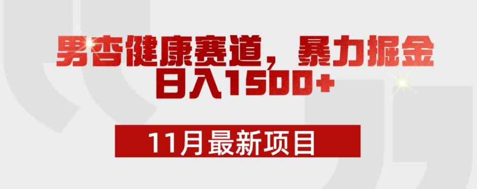 11月最新项目，男杏健康赛道，暴力掘金，日入1500+-179创客网