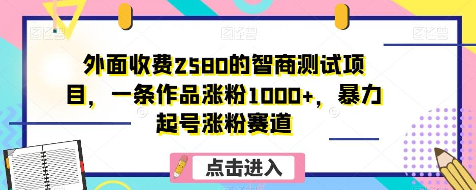 外面收费2580的智商测试项目，一条作品涨粉1000+，暴力起号涨粉赛道【揭秘】-179创客网