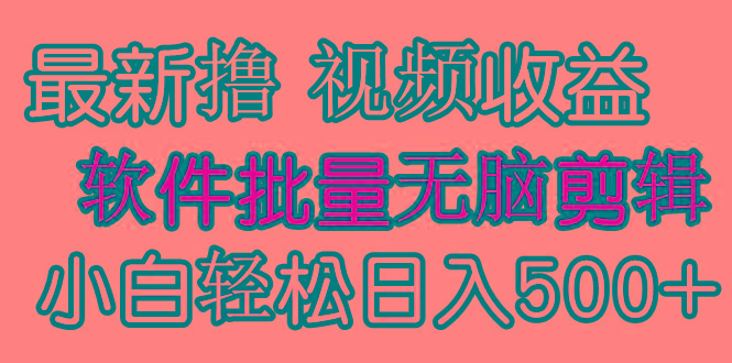 (9569期)发视频撸收益，软件无脑批量剪辑，第一天发第二天就有钱-网创资源