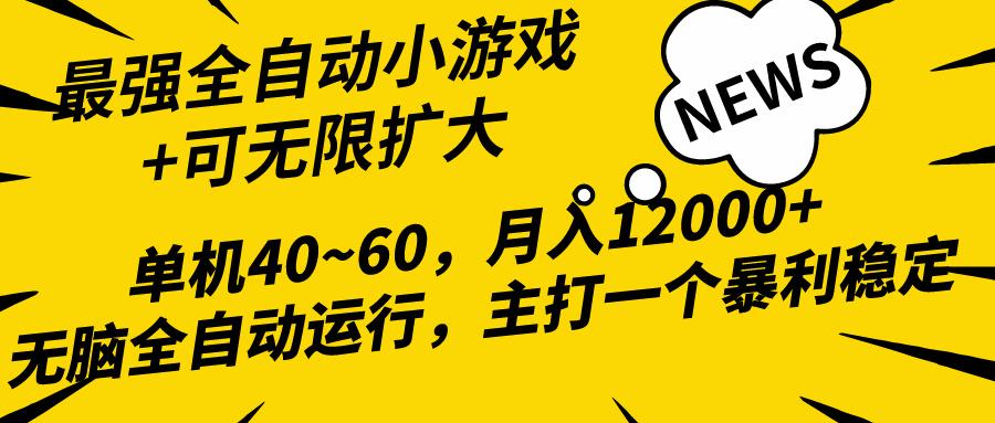 (10046期)2024最新全网独家小游戏全自动，单机40~60,稳定躺赚，小白都能月入过万-179创客网