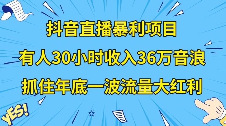 抖音直播暴利项目，有人30小时收入36万音浪，公司宣传片年会视频制作，抓住年底一波流量大红利【揭秘】-179创客网