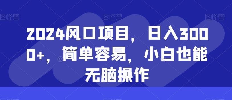2024风口项目，日入3000+，简单容易，小白也能无脑操作-179创客网