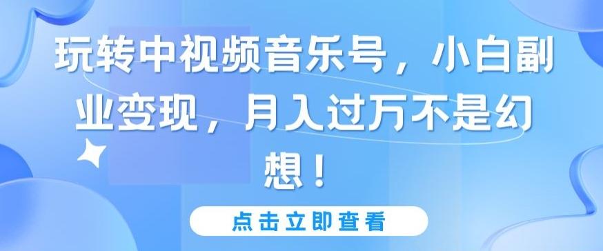 玩转中视频音乐号，小白副业变现，月入过万不是幻想【揭秘】-179创客网