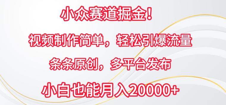 小众赛道掘金，视频制作简单，轻松引爆流量，条条原创，多平台发布【揭秘】-179创客网