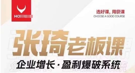 【组合课】张琦张琦老板企业增长·盈利爆破系统（直播专享）-179创客网