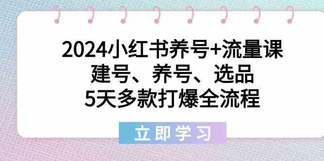 2024小红书养号+流量课：建号、养号、选品，5天多款打爆全流程-网创资源