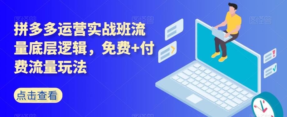 拼多多运营实战班流量底层逻辑，免费+付费流量玩法-179创客网