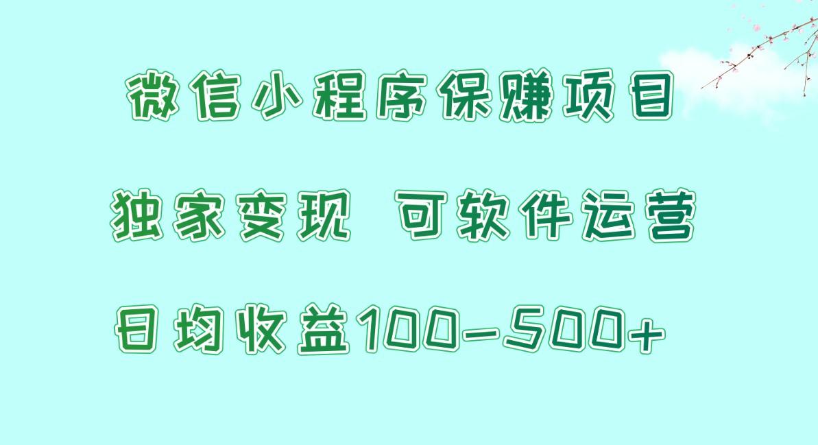 微信小程序保赚项目，日均收益100~500+，独家变现，可软件运营-179创客网