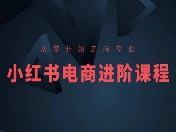 从零开始走向专业，小红书电商进阶课程-179创客网