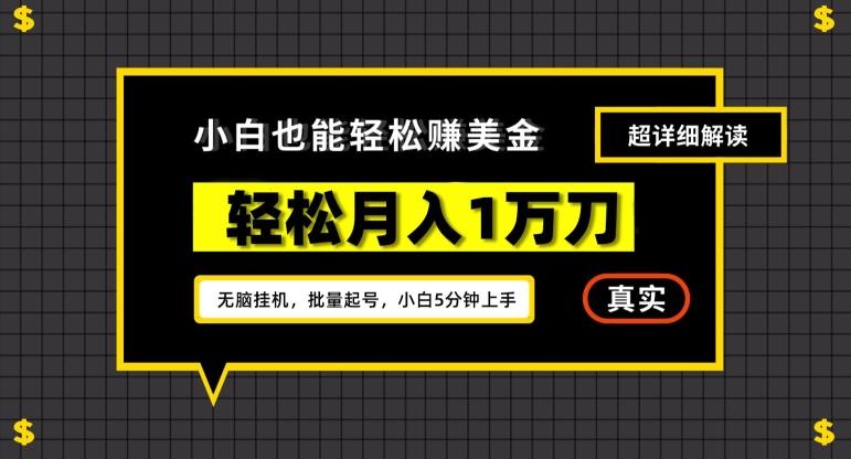 谷歌看广告撸美金2.0，无脑挂机，多号操作，月入1万刀【揭秘】-179创客网