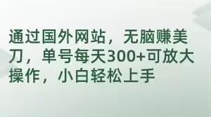 通过国外网站，无脑赚美刀，单号每天300+可放大操作，小白轻松上手【揭秘】-179创客网