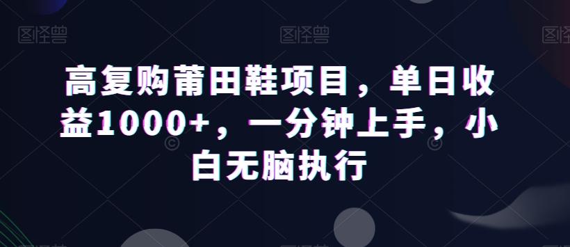 高复购莆田鞋项目，单日收益1000+，一分钟上手，小白无脑执行-179创客网