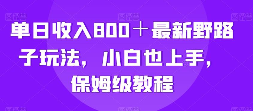 单日收入800＋最新野路子玩法，小白也上手，保姆级教程-179创客网