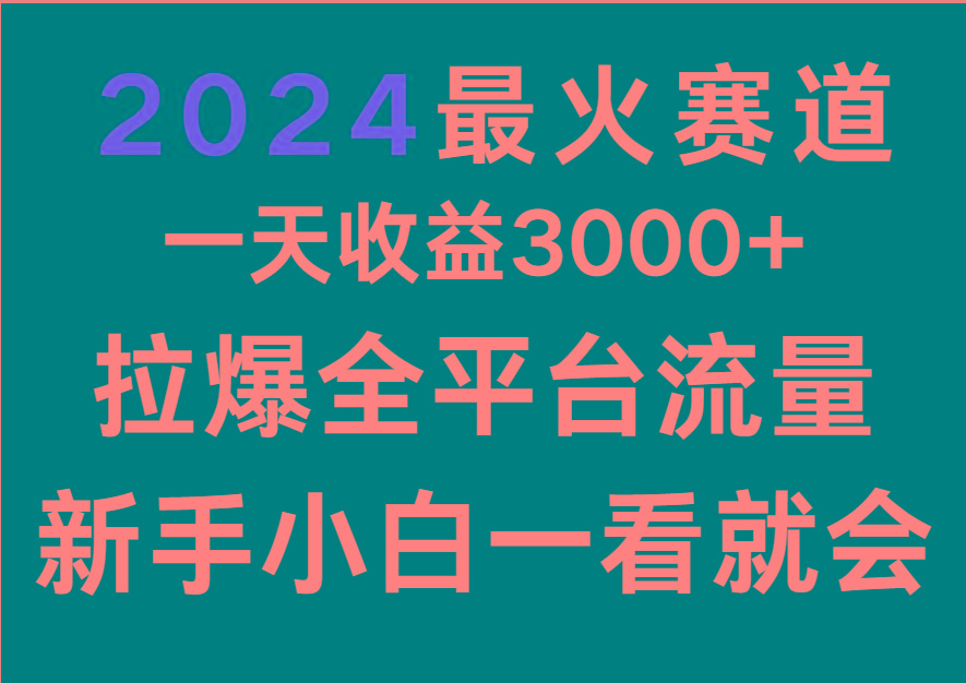 2024最火赛道，一天收一3000+.拉爆全平台流量，新手小白一看就会-179创客网