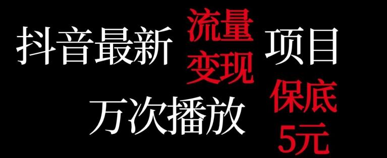 抖音流量变现，万次播放保底5元，额外收入-179创客网