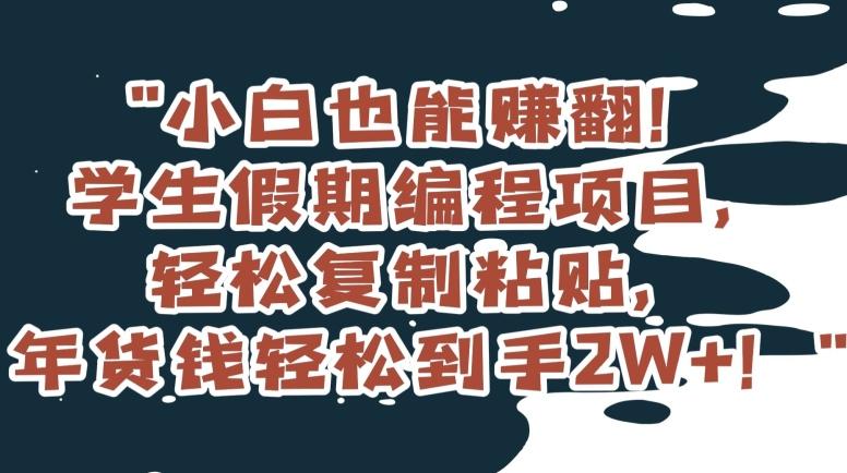 小白也能赚翻！学生假期编程项目，轻松复制粘贴，年货钱轻松到手2W+【揭秘】-179创客网