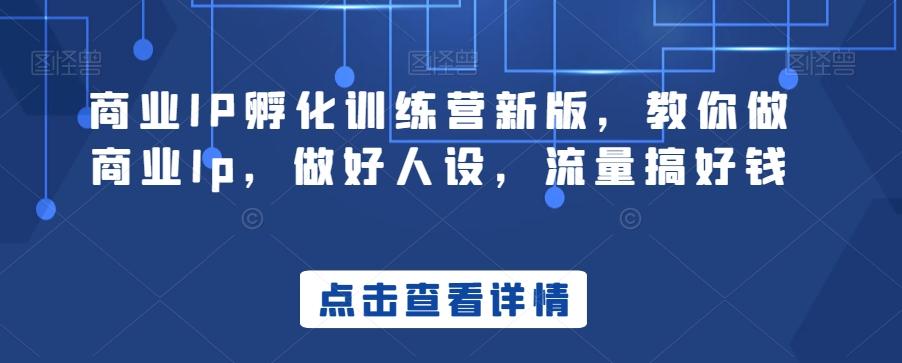商业IP孵化训练营新版，教你做商业Ip，做好人设，流量搞好钱-179创客网