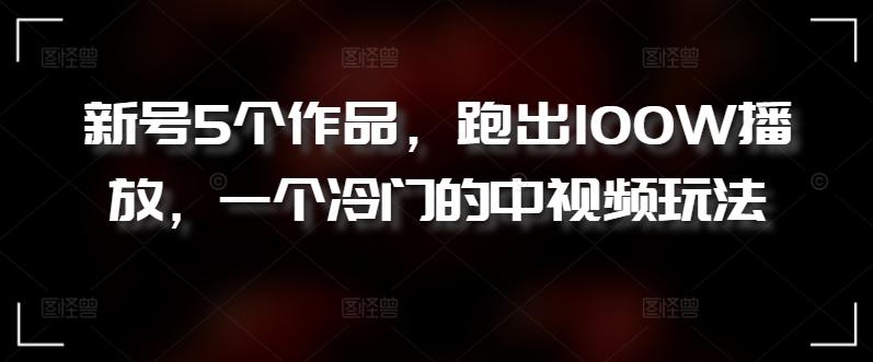 新号5个作品，跑出100W播放，一个冷门的中视频玩法【揭秘】-179创客网