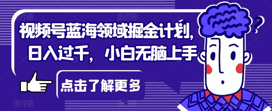 视频号蓝海领域掘金计划，日入过千，小白无脑上手【揭秘】-179创客网