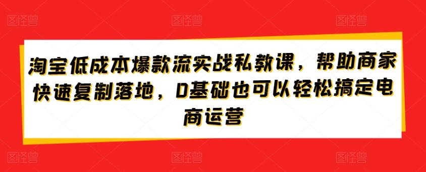 淘宝低成本爆款流实战私教课，帮助商家快速复制落地，0基础也可以轻松搞定电商运营-179创客网