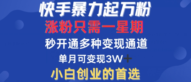 快手暴力起万粉，涨粉只需一星期，多种变现模式，直接秒开万合，单月变现过W【揭秘】-179创客网