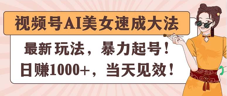 视频号AI美女速成大法，暴力起号，日赚1000+，当天见效-179创客网