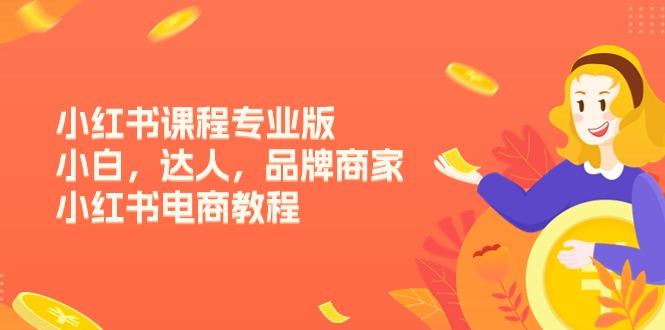 小红书课程专业版，小白，达人，品牌商家，小红书电商教程(15节-179创客网