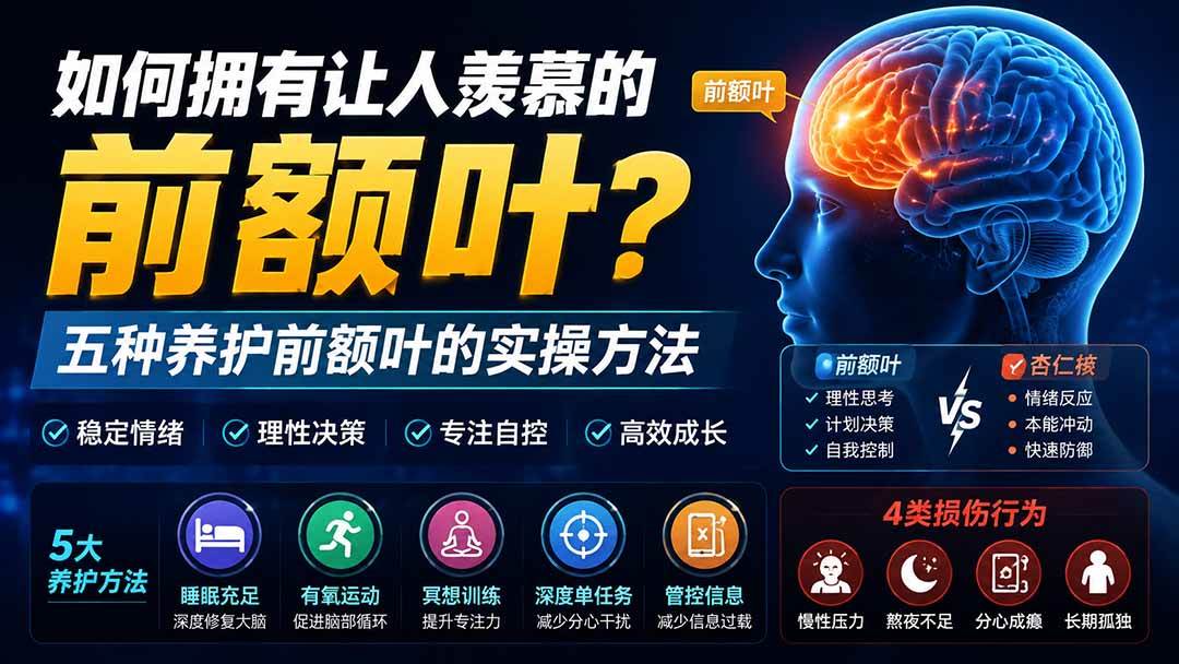 （19805期）付费文章：如何拥有让人羡慕的前额叶？五种养护前额叶的实操方法-179创客网