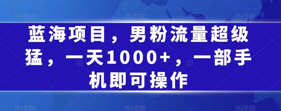 蓝海项目，男粉流量超级猛，一天1000+，一部手机即可操作【揭秘】-179创客网