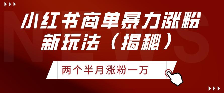小红书商单暴力涨粉新玩法两个半月涨粉一万（揭秘）-179创客网