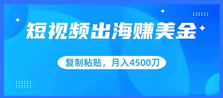 短视频出海赚美金，复制粘贴批量操作，小白轻松掌握，月入4500美刀【揭秘】-179创客网