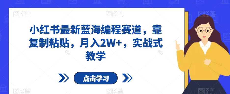 小红书最新蓝海编程赛道，靠复制粘贴，月入2W+，实战式教学【揭秘】-179创客网
