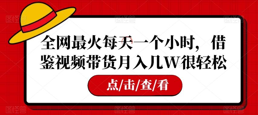 全网最火每天一个小时，借鉴视频带货月入几W很轻松【揭秘】-179创客网