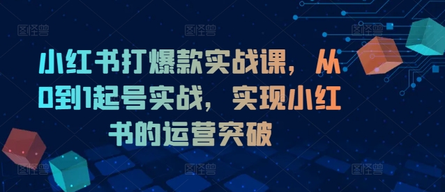 小红书打爆款实战课，从0到1起号实战，实现小红书的运营突破-179创客网