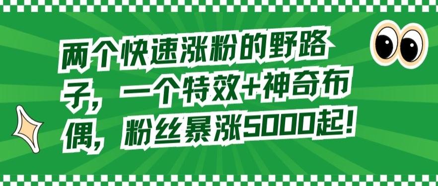 两个快速涨粉的野路子，一个特效+神奇布偶，粉丝暴涨5000起【揭秘】-179创客网