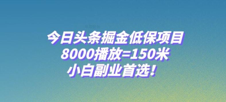 今日头条掘金低保项目，8000播放=150米，小白副业首选【揭秘】-179创客网