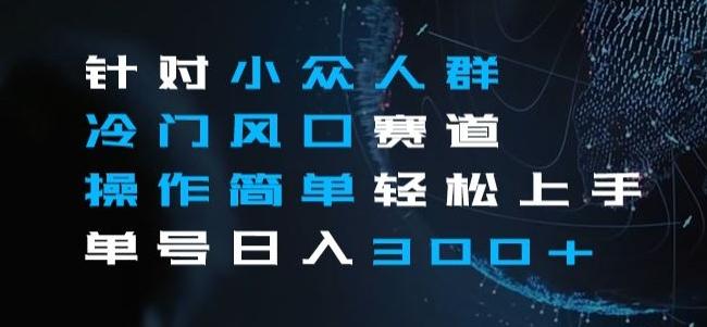 针对小众人群冷门风口赛道，操作简单轻松上手单号日入300+-179创客网